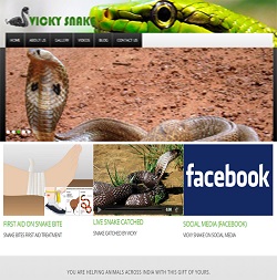VickySnake